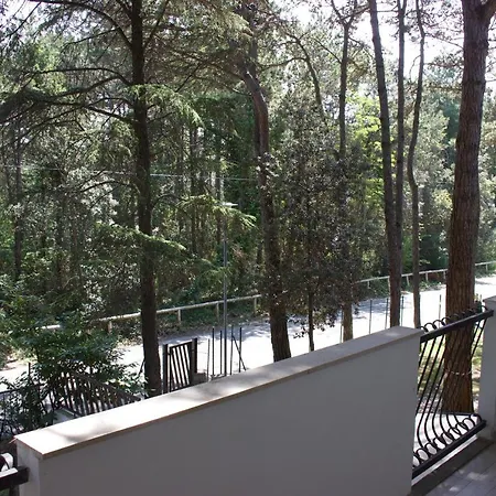 Apartamento Antonietta 3, Tra Pineta E Mare *